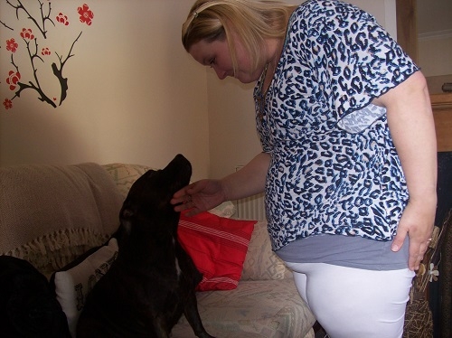 staffordshire bull terrier helps owner cope with diabetes