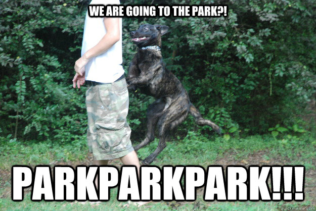 dog-park-meme-saturday